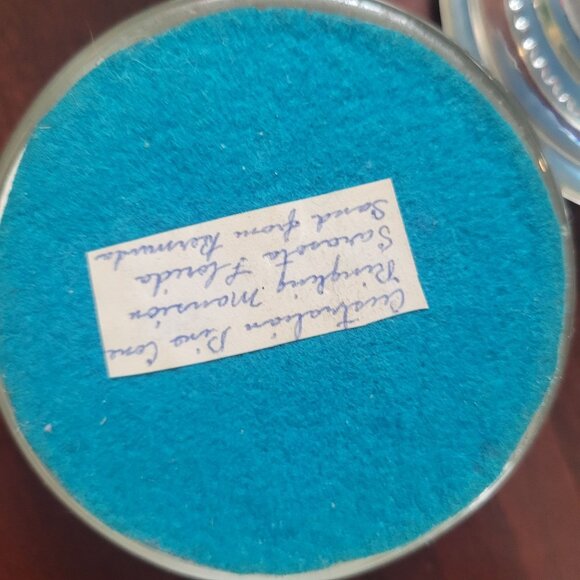 Vintage Lucite Paperweight Set With Natural Shells Flowers & Pinecone In Clear D - Picture 5 of 8